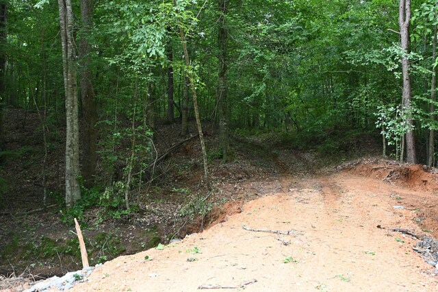 0 Blunt Rd, Decaturville, TN 38329 - photo 40
