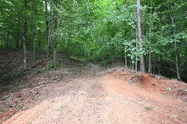 0 Blunt Rd, Decaturville, TN 38329 - photo 13