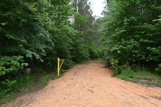 0 Blunt Rd, Decaturville, TN 38329 - photo 3