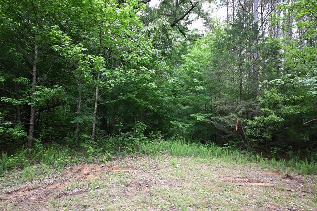 0 Blunt Rd, Decaturville, TN 38329 - photo 41