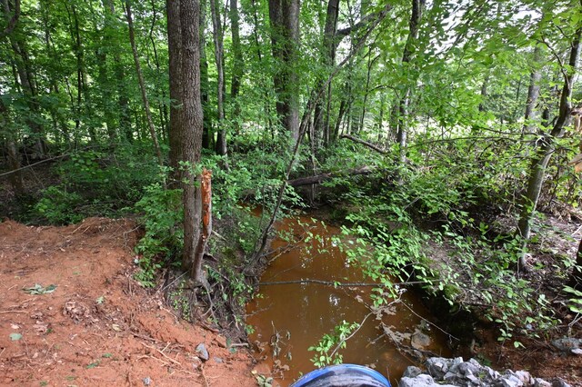0 Blunt Rd, Decaturville, TN 38329 - photo 6