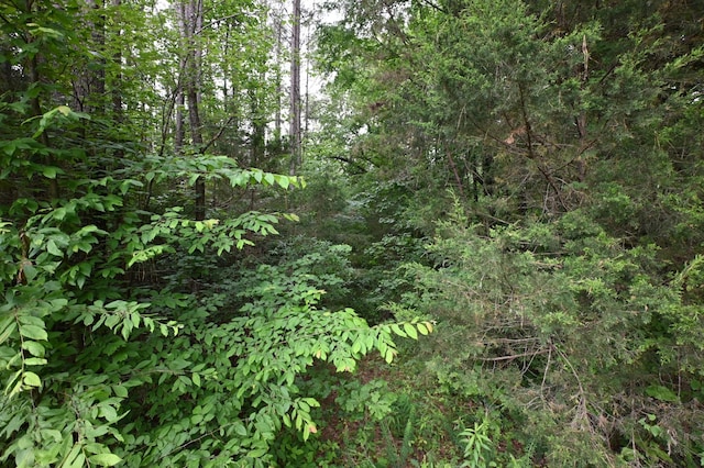 0 Blunt Rd, Decaturville, TN 38329 - photo 43