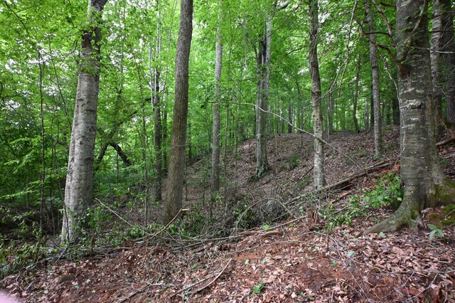 0 Blunt Rd, Decaturville, TN 38329 - photo 15