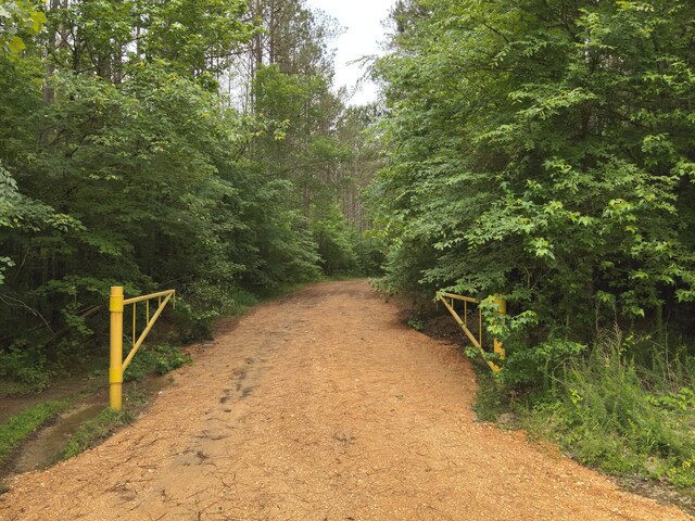 0 Blunt Rd, Decaturville, TN 38329 - photo 4
