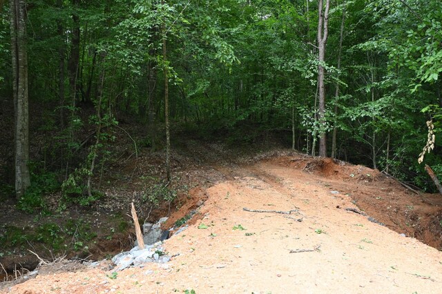 0 Blunt Rd, Decaturville, TN 38329 - photo 39