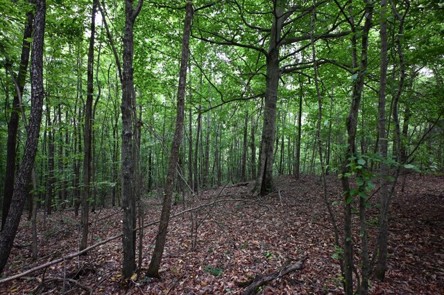 0 Blunt Rd, Decaturville, TN 38329 - photo 28