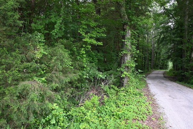 0 Blunt Rd, Decaturville, TN 38329 - photo 42