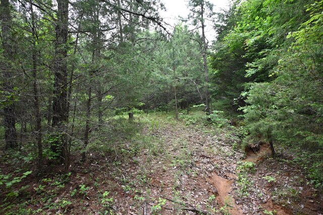 0 Blunt Rd, Decaturville, TN 38329 - photo 26