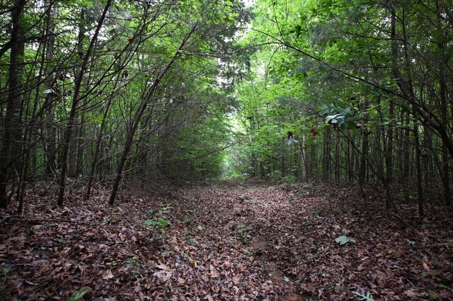 0 Blunt Rd, Decaturville, TN 38329 - photo 32