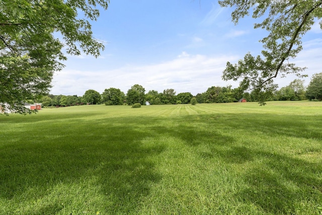 7125 Bidwell Rd, Joelton, TN 37080 - view of grassy yard