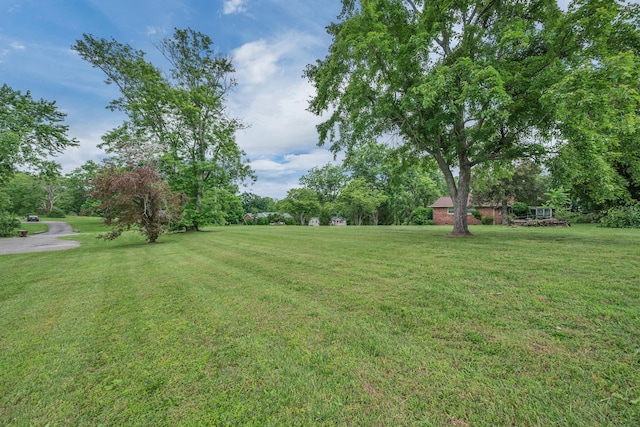 1192 Dalemere Dr, Nashville, TN 37207 - view of grassy yard with view of wooded area