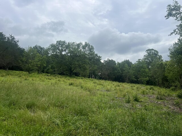 2601 Una Antioch Pike, Antioch, TN 37013 - photo 10