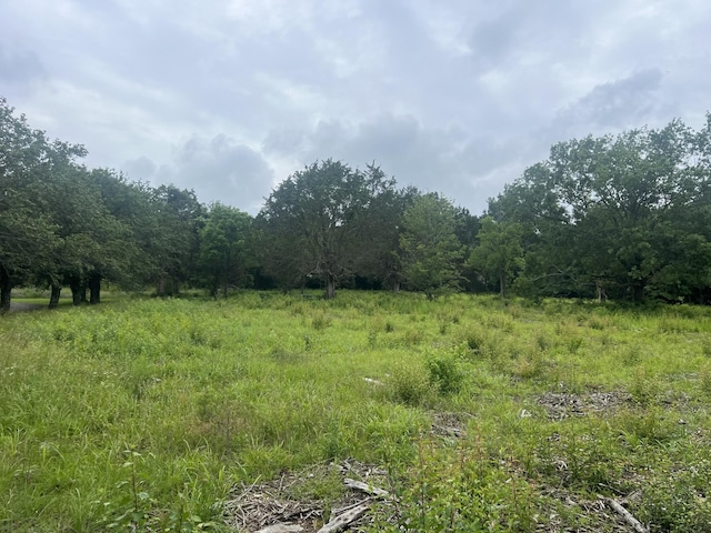 2601 Una Antioch Pike, Antioch, TN 37013 - photo 8