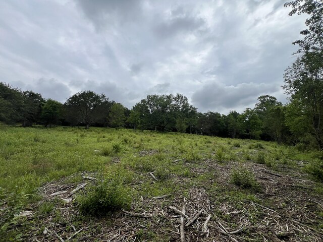 2601 Una Antioch Pike, Antioch, TN 37013 - photo 9
