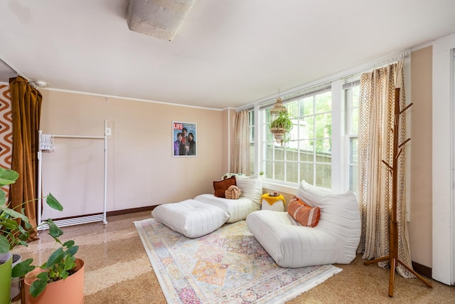 4600 Saunders Ave, Nashville, TN 37216 - living area featuring carpet flooring and baseboards