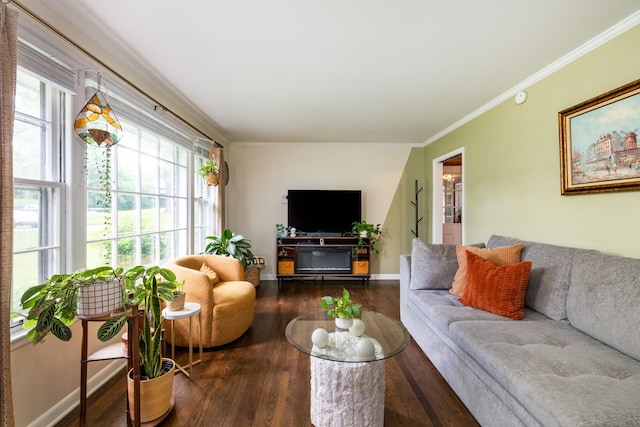 4600 Saunders Ave, Nashville, TN 37216 - living area featuring wood finished floors, plenty of natural light, ornamental molding, and baseboards