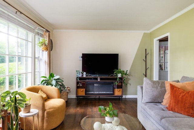4600 Saunders Ave, Nashville, TN 37216 - living area featuring wood finished floors, crown molding, and baseboards