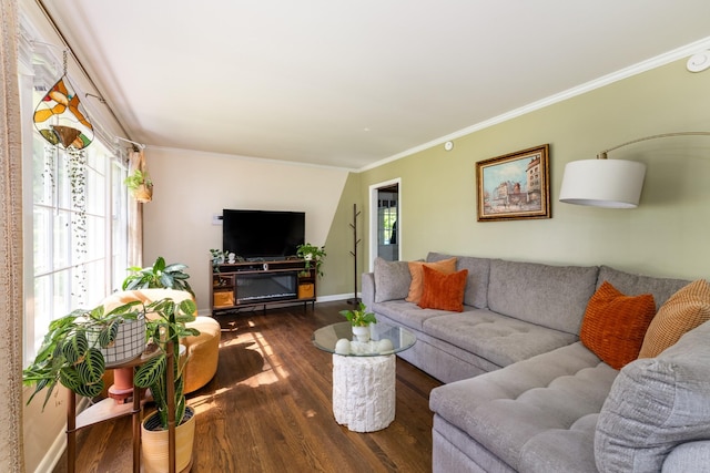 4600 Saunders Ave, Nashville, TN 37216 - living room with wood finished floors, crown molding, and baseboards