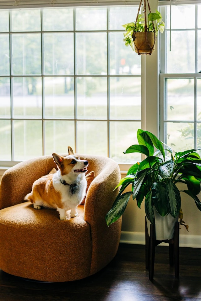 4600 Saunders Ave, Nashville, TN 37216 - view of sunroom