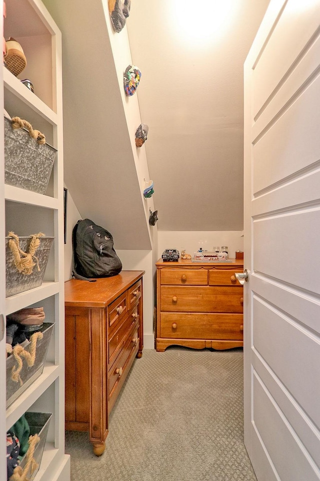 2914 Chasepointe Pl, Columbia, TN 38401 - spacious closet with light colored carpet