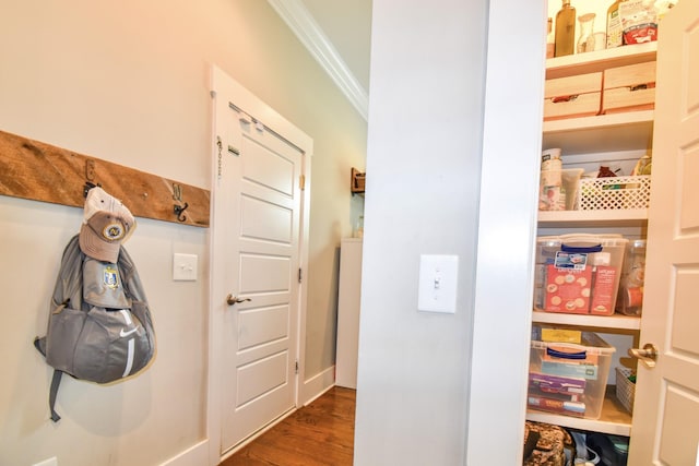 2914 Chasepointe Pl, Columbia, TN 38401 - view of storage area
