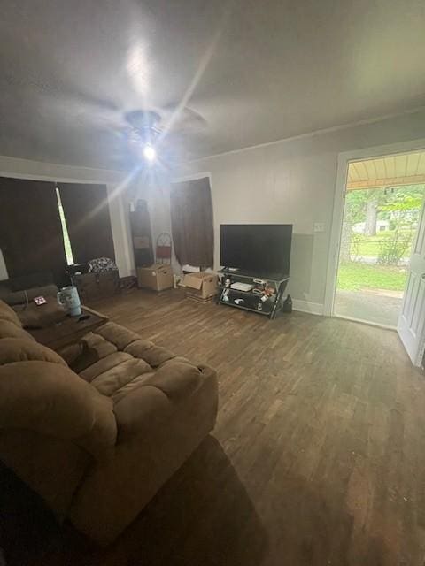 103 E High St, Ethridge, TN 38456 - living room featuring wood finished floors and baseboards