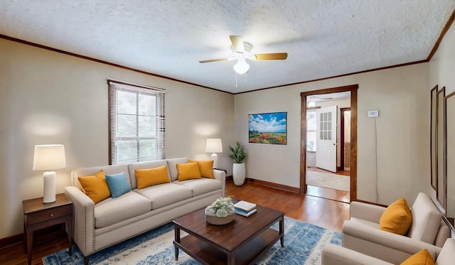 1009 5th Ave W, Springfield, TN 37172 - living area with light wood-style floors, a ceiling fan, baseboards, ornamental molding, and a textured ceiling
