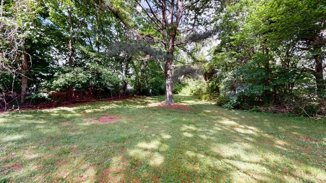 1009 5th Ave W, Springfield, TN 37172 - view of grassy yard