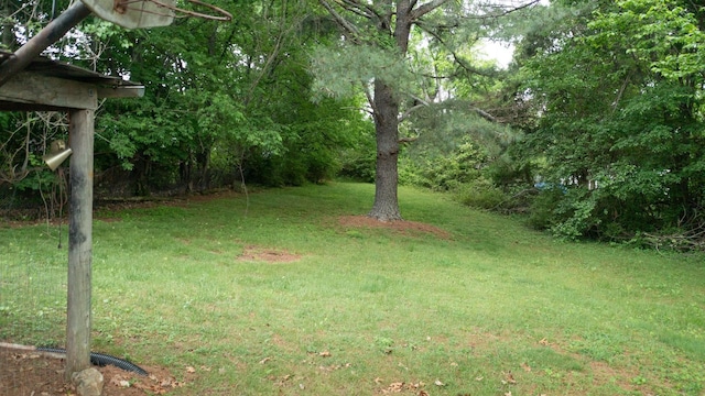 1009 5th Ave W, Springfield, TN 37172 - view of green lawn