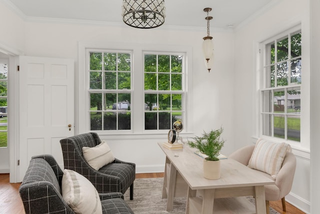 207 Cumberland Cir, Nashville, TN 37214 - office featuring wood finished floors, ornamental molding, and baseboards
