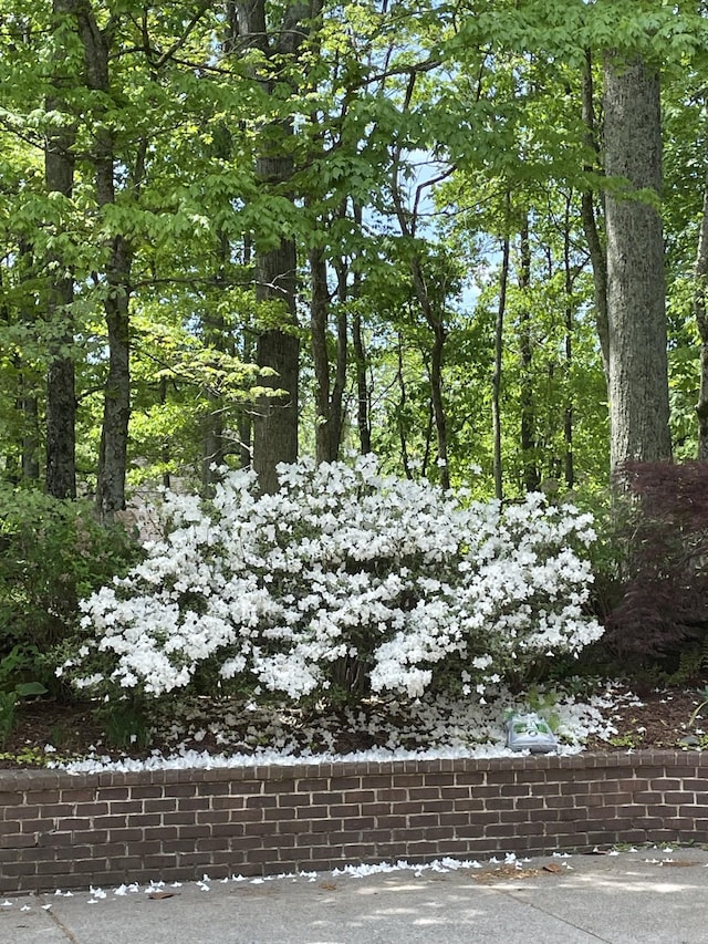 6521 Stableford Ln, Franklin, TN 37069 - photo 15