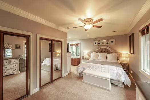 126 Harsh Ln, Castalian Springs, TN 37031 - bedroom featuring light colored carpet, multiple windows, a closet, and ornamental molding