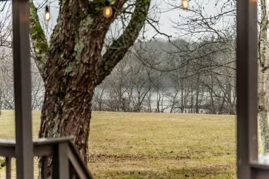 126 Harsh Ln, Castalian Springs, TN 37031 - view of grassy yard