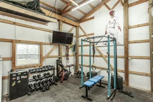 126 Harsh Ln, Castalian Springs, TN 37031 - workout room featuring lofted ceiling