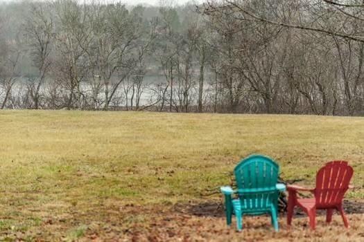 126 Harsh Ln, Castalian Springs, TN 37031 - view of grassy yard