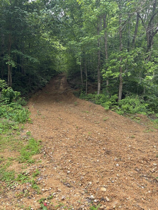 145 Keeton Dr, Hohenwald, TN 38462 - photo 35