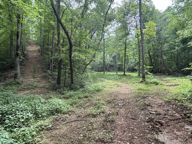 145 Keeton Dr, Hohenwald, TN 38462 - photo 39