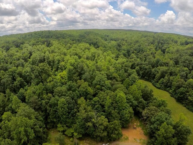 145 Keeton Dr, Hohenwald, TN 38462 - photo 49