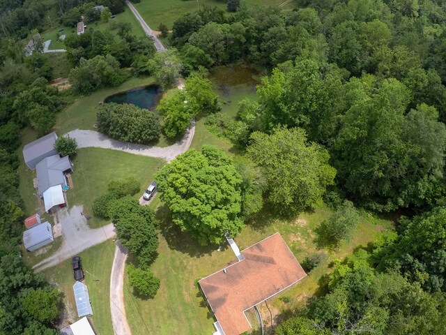 145 Keeton Dr, Hohenwald, TN 38462 - photo 46