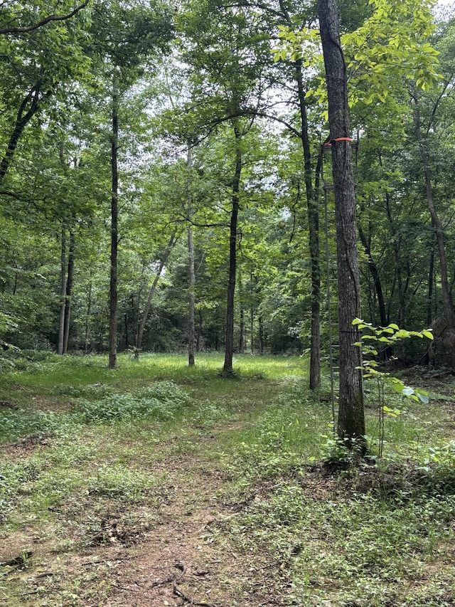 145 Keeton Dr, Hohenwald, TN 38462 - photo 40