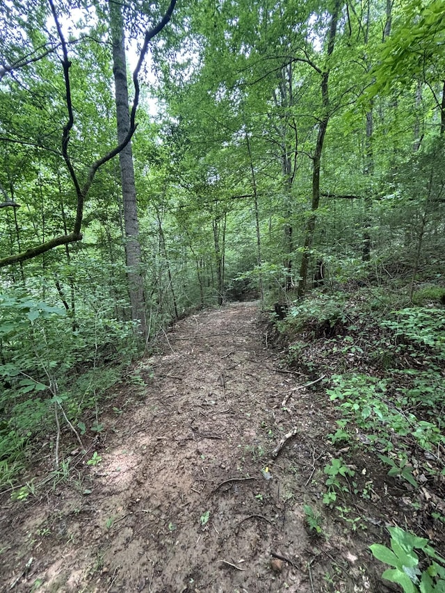 145 Keeton Dr, Hohenwald, TN 38462 - photo 32