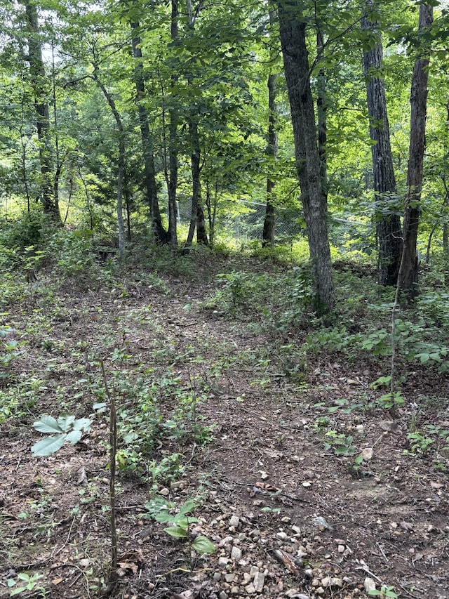 145 Keeton Dr, Hohenwald, TN 38462 - photo 42