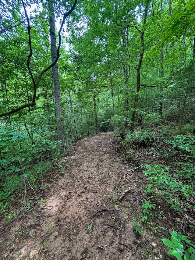 145 Keeton Dr, Hohenwald, TN 38462 - photo 31