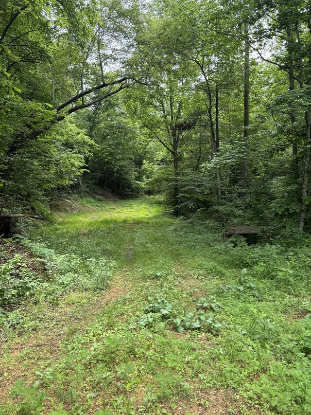 145 Keeton Dr, Hohenwald, TN 38462 - photo 36