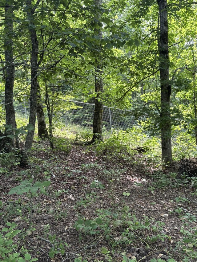 145 Keeton Dr, Hohenwald, TN 38462 - photo 43