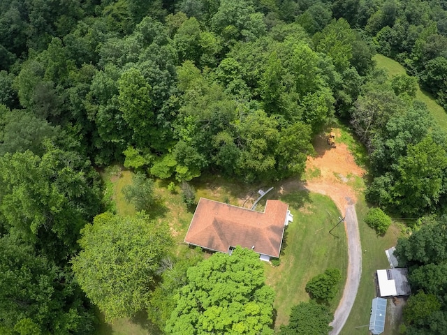 145 Keeton Dr, Hohenwald, TN 38462 - photo 47