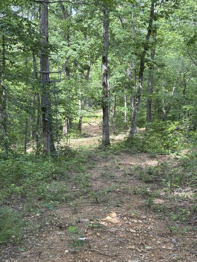 145 Keeton Dr, Hohenwald, TN 38462 - photo 44