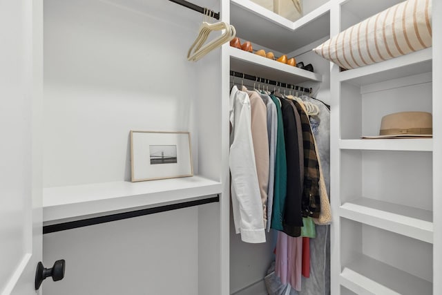 423A American Rd, Nashville, TN 37209 - view of walk in closet