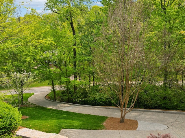 57 Annandale, Nashville, TN 37215 - photo 90