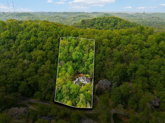 57 Annandale, Nashville, TN 37215 - photo 86